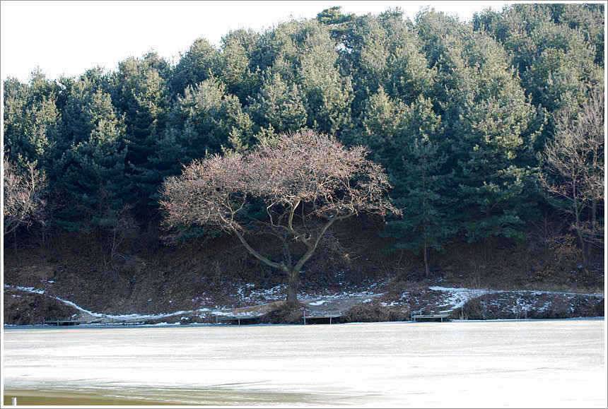 오늘보다 낳은 내일이 (유료터정보 - 유료터점주조황)