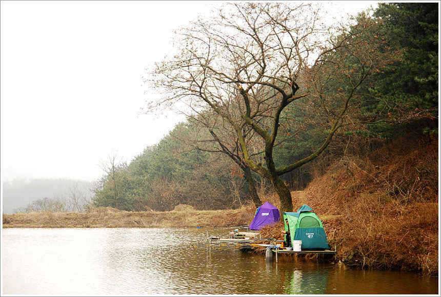 회암 관 고기급의 조과를 거두고 (유료터정보 - 유료터점주조황)