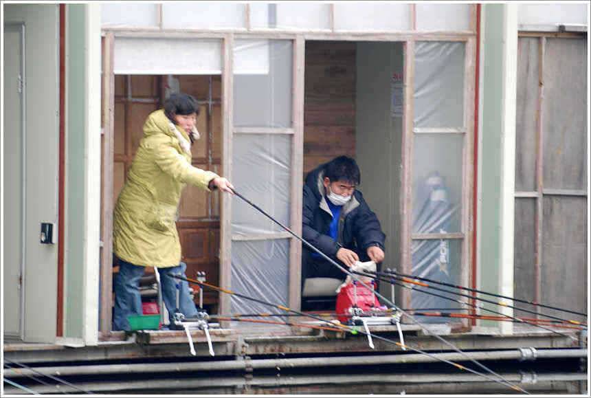 덩어리의 신년 인사 (유료터정보 - 유료터점주조황)
