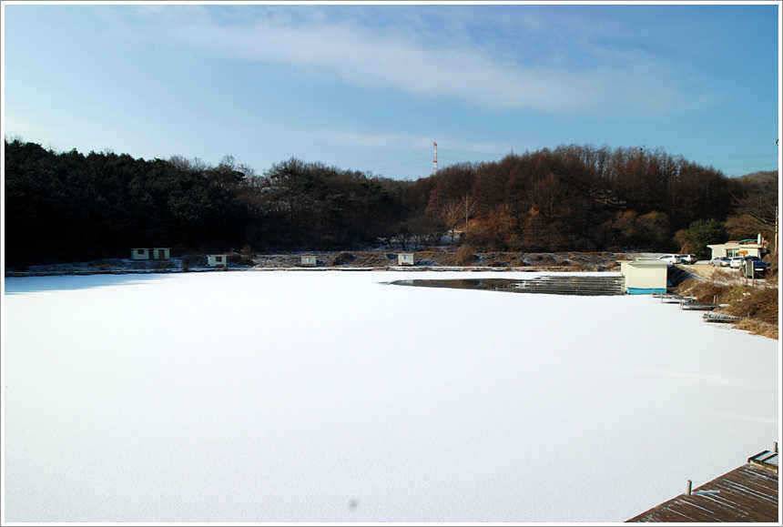 전 수면이 얼었지만 좌대 물낚시는 (유료터정보 - 유료터점주조황)