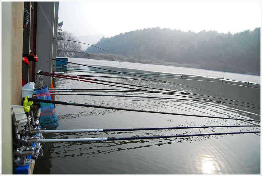 계절의 변화는 (유료터정보 - 유료터점주조황)