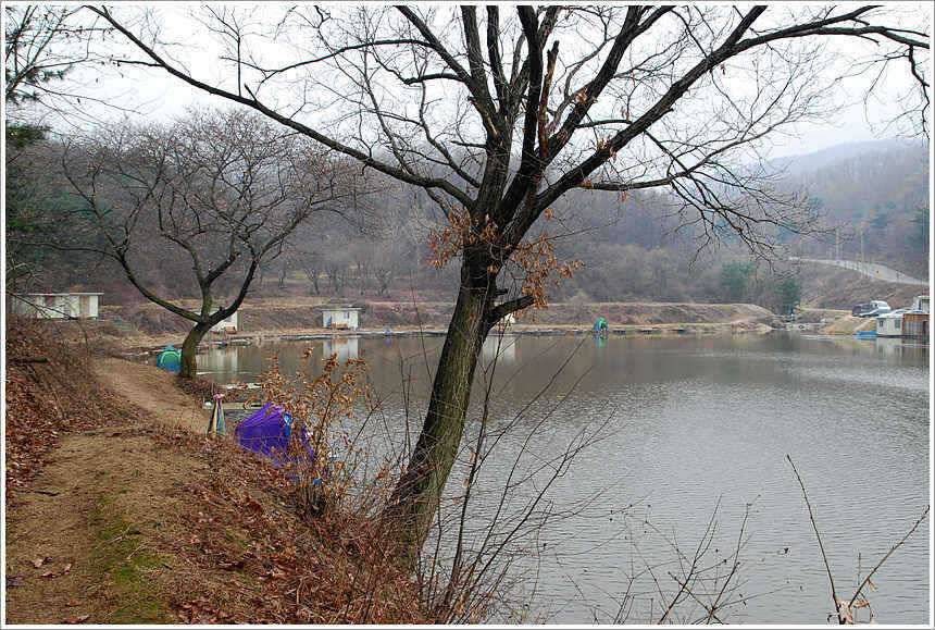 회암 관 고기급의 조과를 거두고 (유료터정보 - 유료터점주조황)