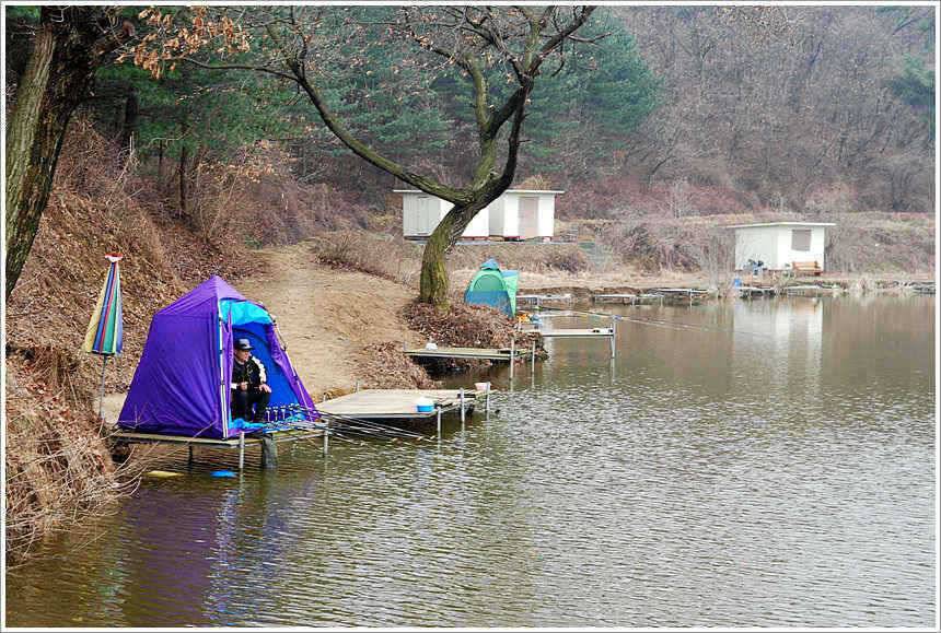 회암 관 고기급의 조과를 거두고 (유료터정보 - 유료터점주조황)