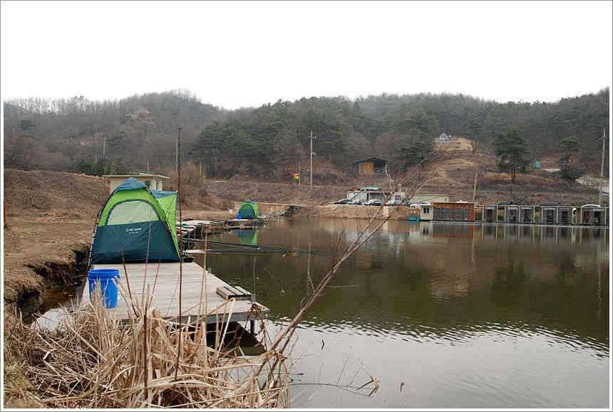 회암 민물새우가 이뻐 보이는 까닭은 (유료터정보 - 유료터점주조황)