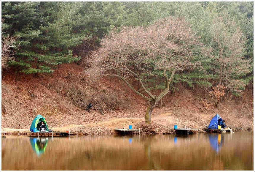 회암 민물새우가 이뻐 보이는 까닭은 (유료터정보 - 유료터점주조황)