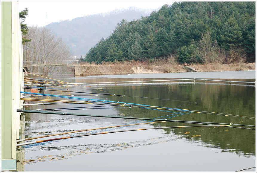 겨울의 끝자락에서 (유료터정보 - 유료터점주조황)