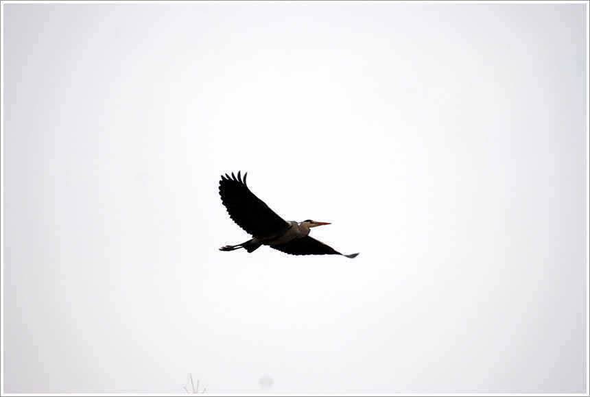 기다림의 日常 속에 (유료터정보 - 유료터점주조황)
