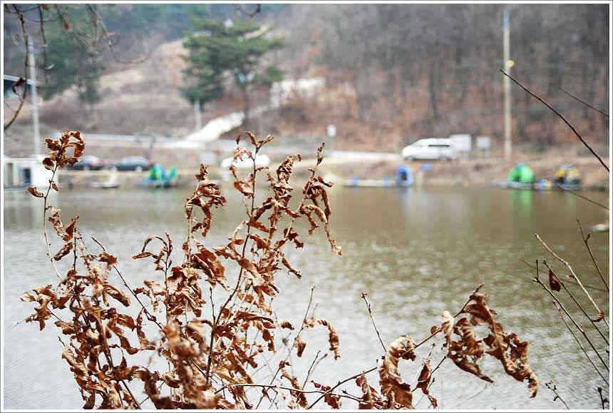 오늘도 물가를 찾아 (유료터정보 - 유료터점주조황)