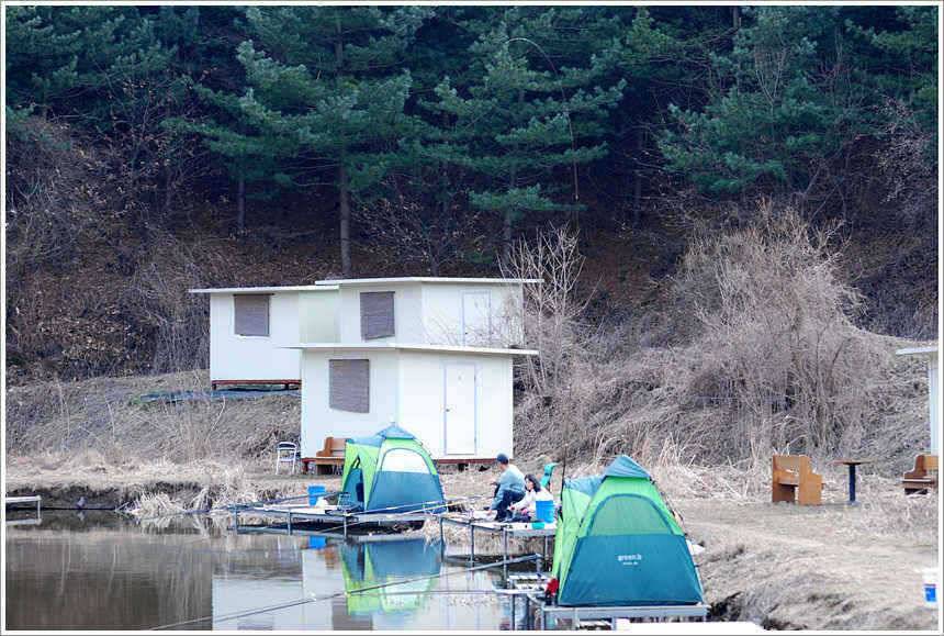 회암 민물새우가 이뻐 보이는 까닭은 (유료터정보 - 유료터점주조황)