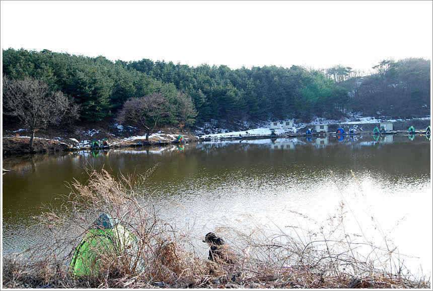 회암의 주말 스케치 (유료터정보 - 유료터점주조황)