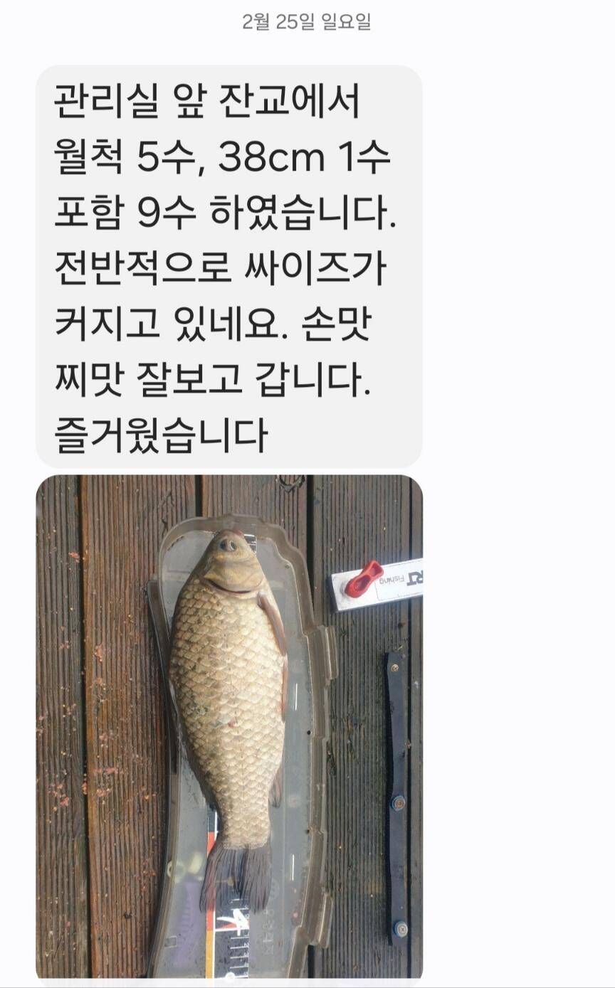 2024년 02월 마지막주 조황정보 4짜 연속 대행진중 (유료터정보 - 유료터점주조황)