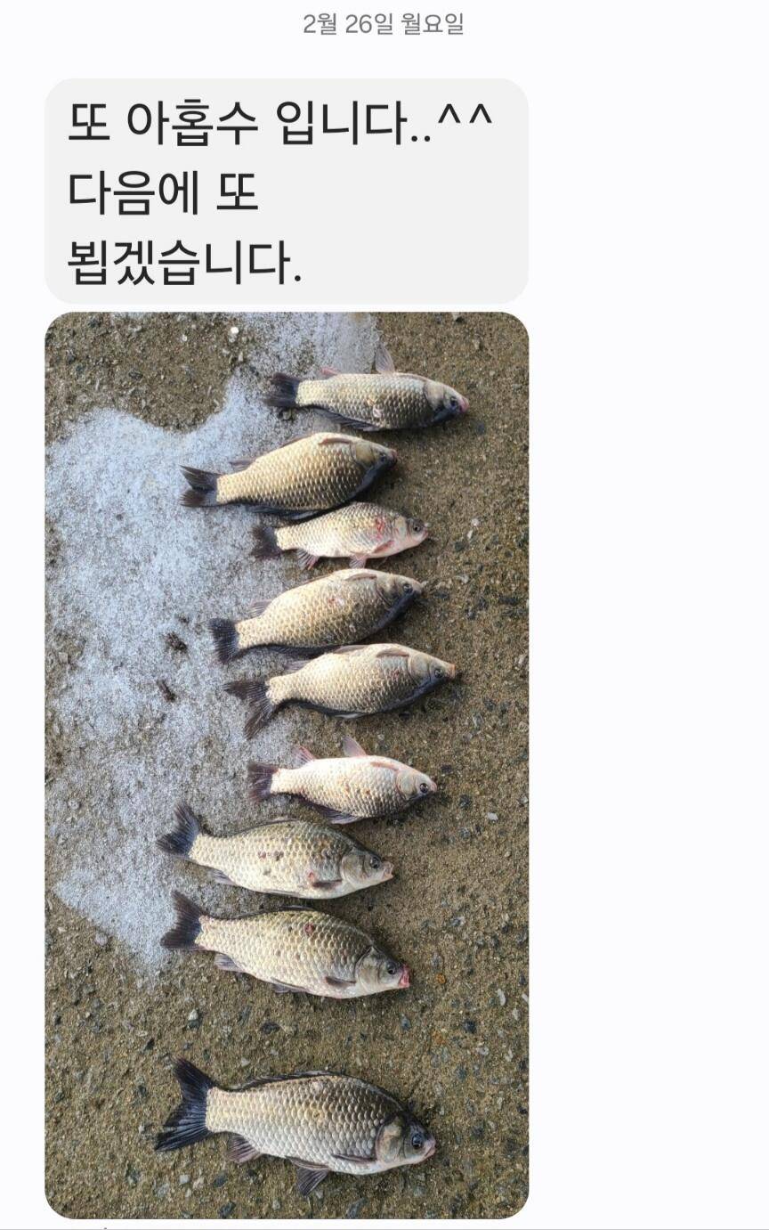 2024년 02월 마지막주 조황정보 4짜 연속 대행진중 (유료터정보 - 유료터점주조황)