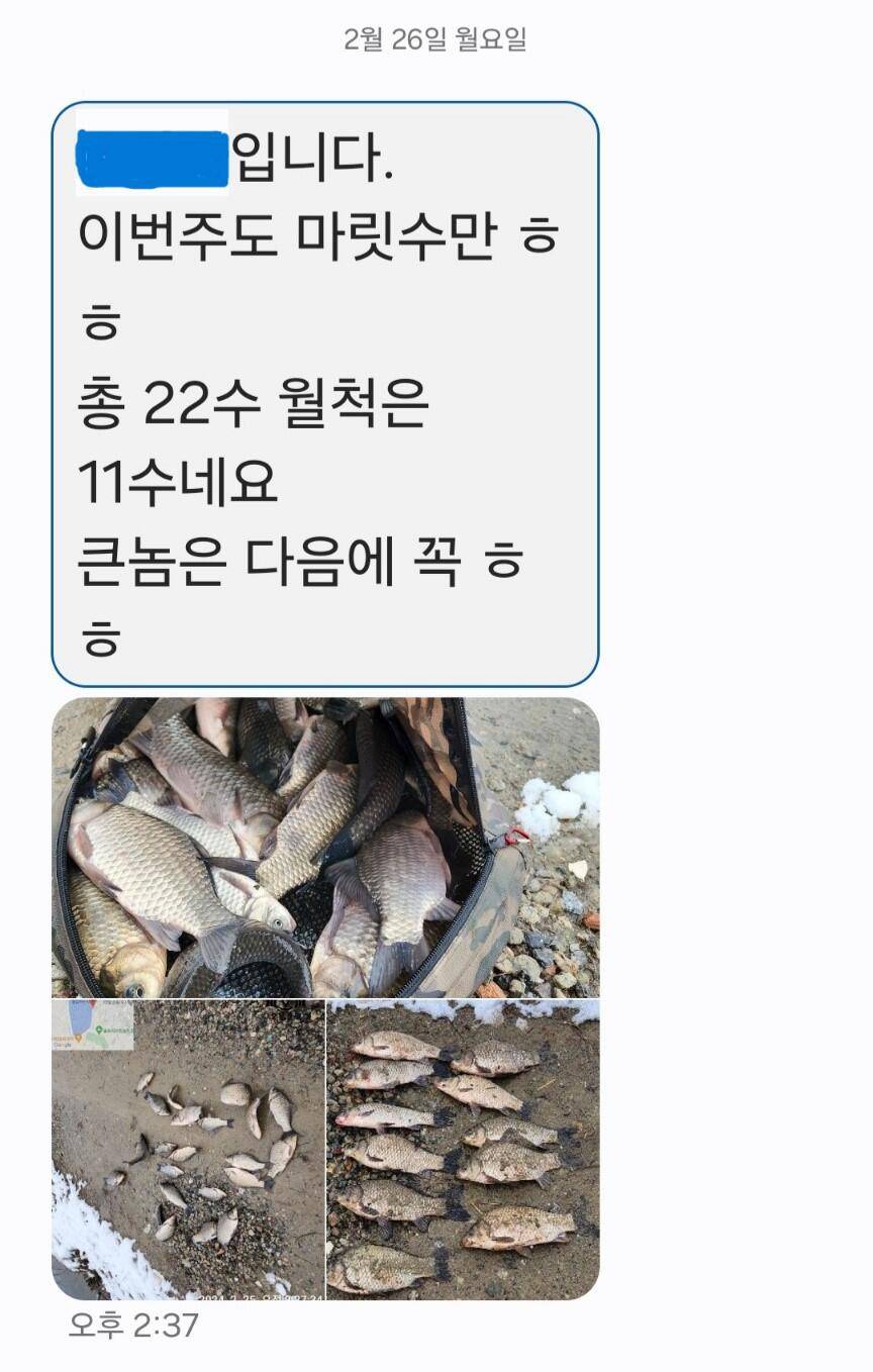 2024년 02월 마지막주 조황정보 4짜 연속 대행진중 (유료터정보 - 유료터점주조황)