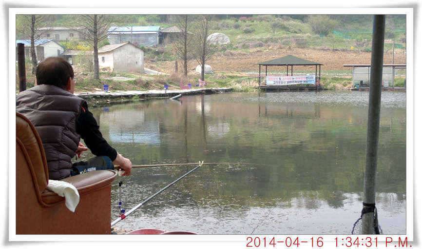 충남 아산 월선낚시터 4월 16일자 조황정보 (유료터정보 - 유료터점주조황)