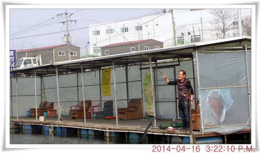 충남 아산 월선낚시터 4월 16일자 조황정보 (유료터정보 - 유료터점주조황)