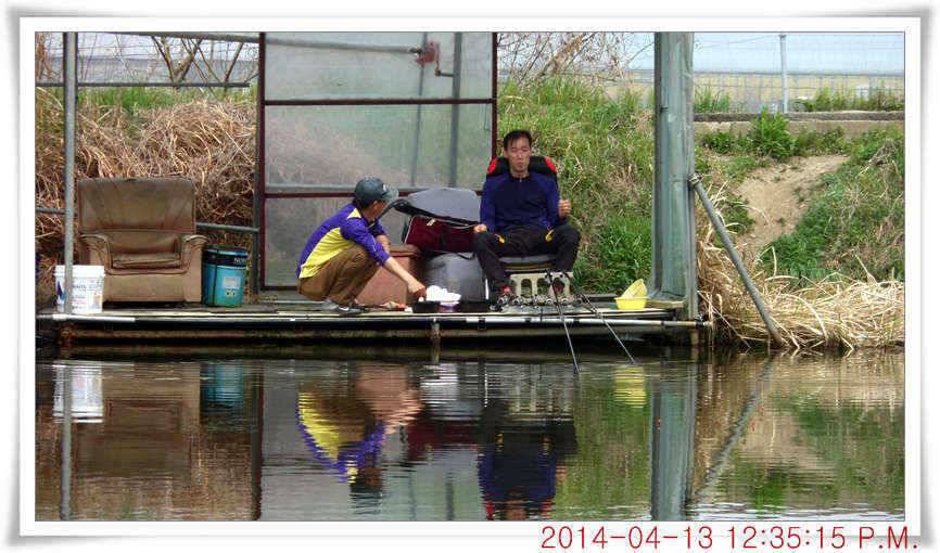 충남 아산 월선낚시터 4월 13일자 조황정보 (유료터정보 - 유료터점주조황)