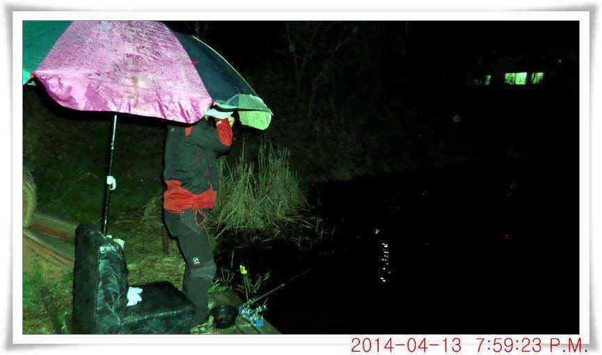 충남 아산 월선낚시터 4월 13일자 조황정보 (유료터정보 - 유료터점주조황)