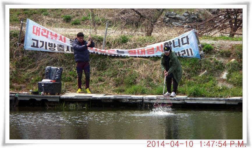 충남 아산 월선낚시터 4월 10일자 조황정보 (유료터정보 - 유료터점주조황)