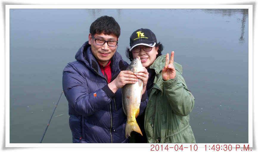 충남 아산 월선낚시터 4월 10일자 조황정보 (유료터정보 - 유료터점주조황)