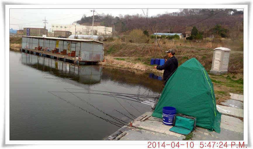 충남 아산 월선낚시터 4월 10일자 조황정보 (유료터정보 - 유료터점주조황)