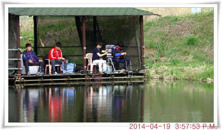 충남 아산 월선낚시터 4월 19일자 조황정보 (유료터정보 - 유료터점주조황)