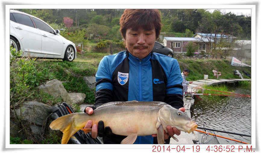 충남 아산 월선낚시터 4월 19일자 조황정보 (유료터정보 - 유료터점주조황)
