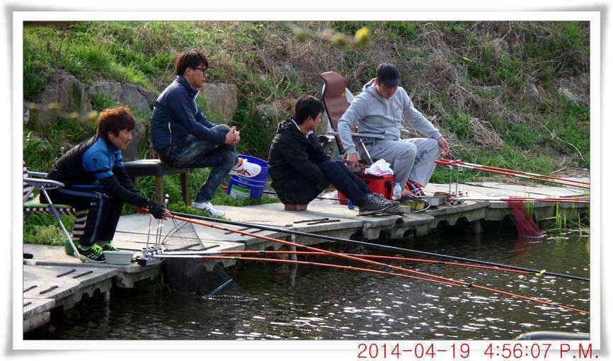 충남 아산 월선낚시터 4월 19일자 조황정보 (유료터정보 - 유료터점주조황)