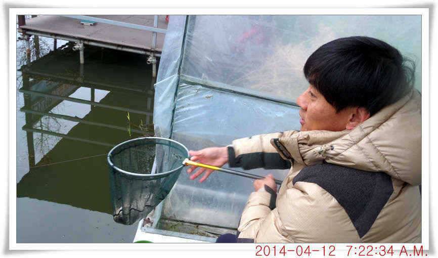 충남 아산 월선낚시터 4월 12일자 조황정보 (유료터정보 - 유료터점주조황)