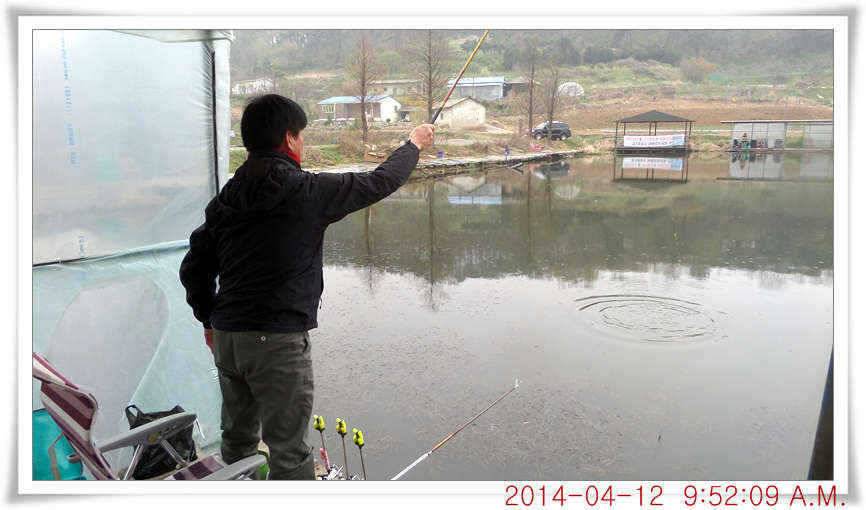 충남 아산 월선낚시터 4월 12일자 조황정보 (유료터정보 - 유료터점주조황)