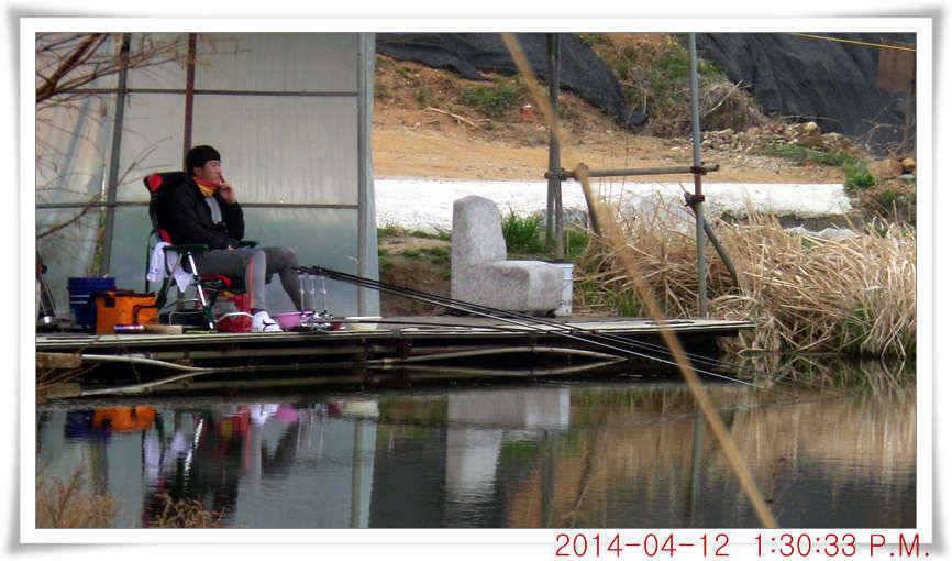 충남 아산 월선낚시터 4월 12일자 조황정보 (유료터정보 - 유료터점주조황)