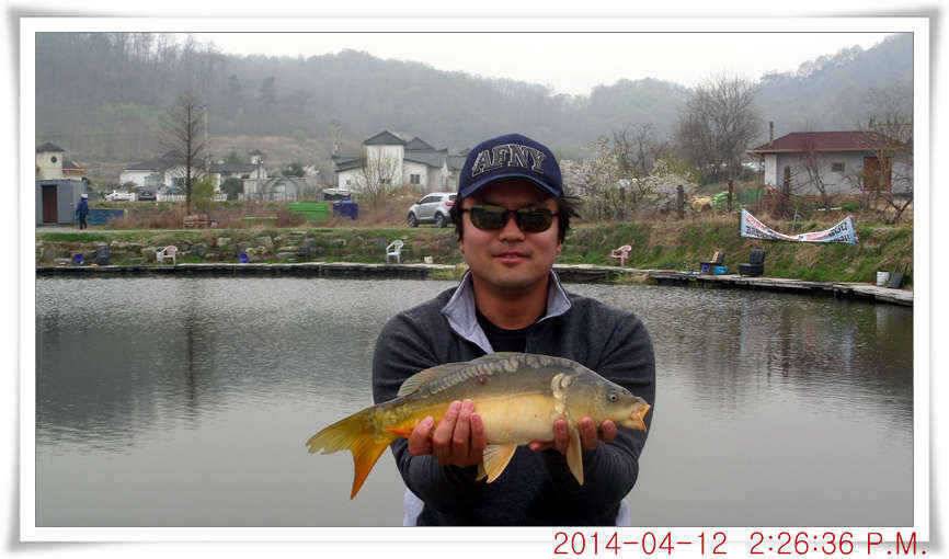 충남 아산 월선낚시터 4월 12일자 조황정보 (유료터정보 - 유료터점주조황)