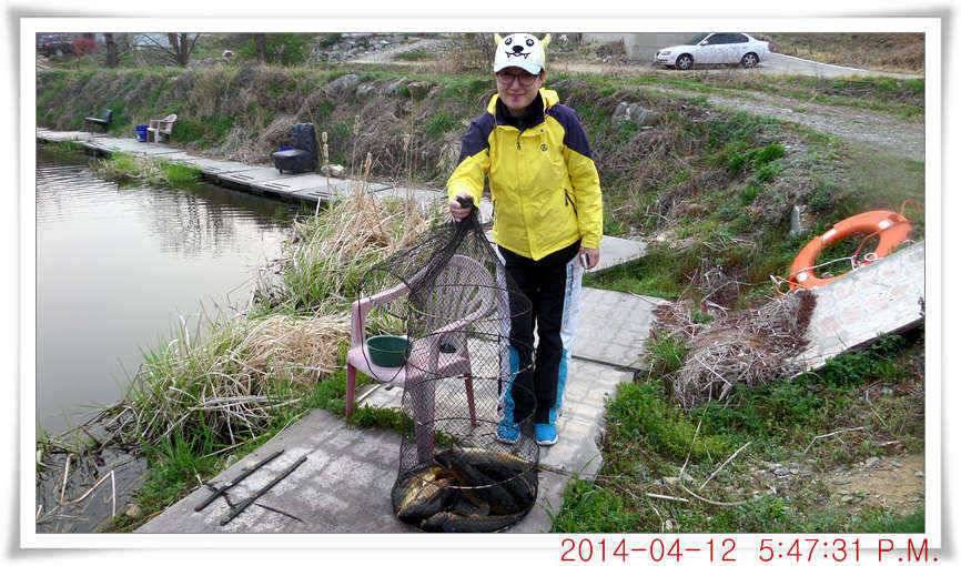 충남 아산 월선낚시터 4월 12일자 조황정보 (유료터정보 - 유료터점주조황)
