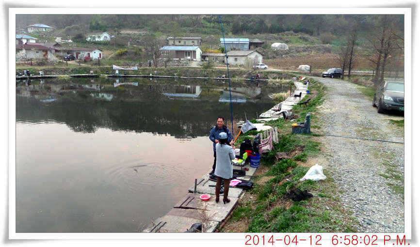 충남 아산 월선낚시터 4월 12일자 조황정보 (유료터정보 - 유료터점주조황)