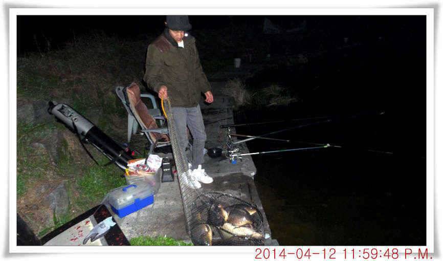 충남 아산 월선낚시터 4월 12일자 조황정보 (유료터정보 - 유료터점주조황)