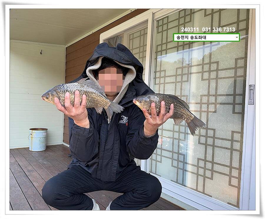 봄 볕에 허리급 (유료터정보 - 유료터점주조황)