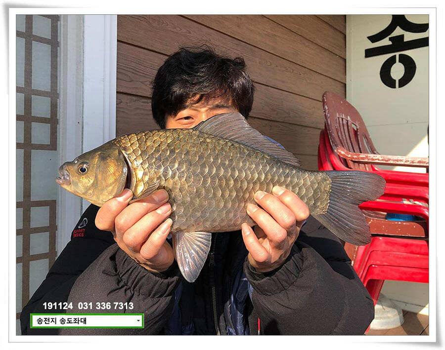 11월의 어느 멋진 날에 (유료터정보 - 유료터점주조황)