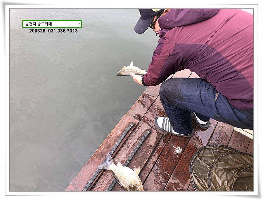 산란 송전지 송도좌대 조황 (유료터정보 - 유료터점주조황)