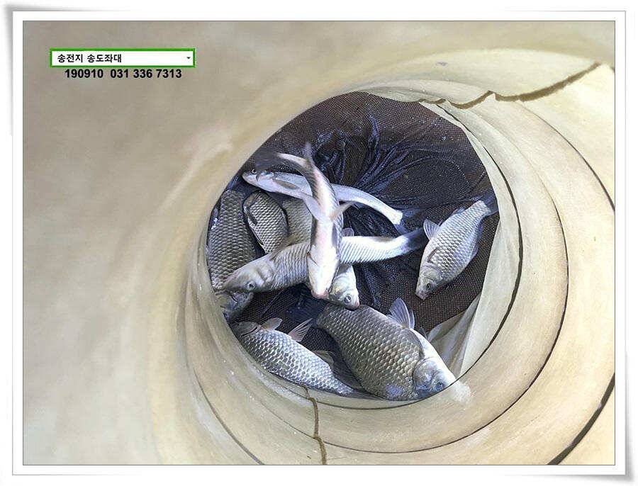 오랜만에 얼굴보기 (유료터정보 - 유료터점주조황)