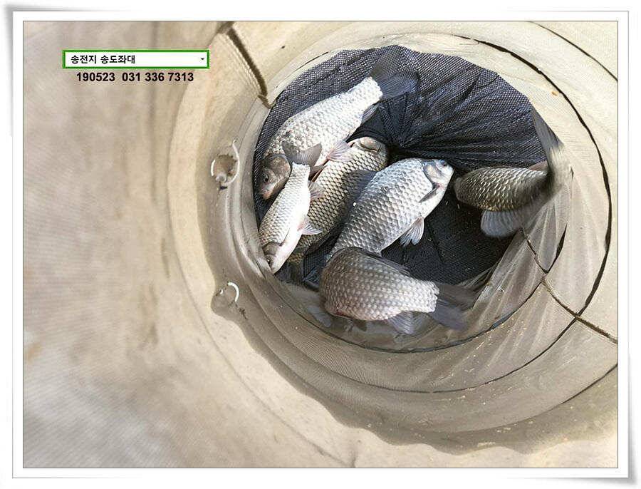 송도좌대 조황 (유료터정보 - 유료터점주조황)