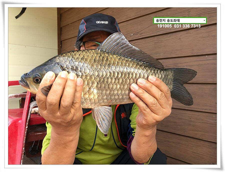 태풍 후 안정세 (유료터정보 - 유료터점주조황)