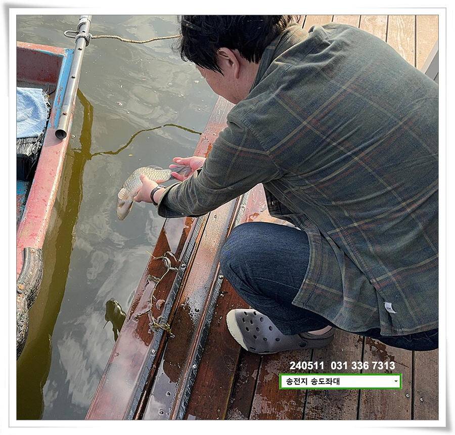 허리급 마릿수 (유료터정보 - 유료터점주조황)