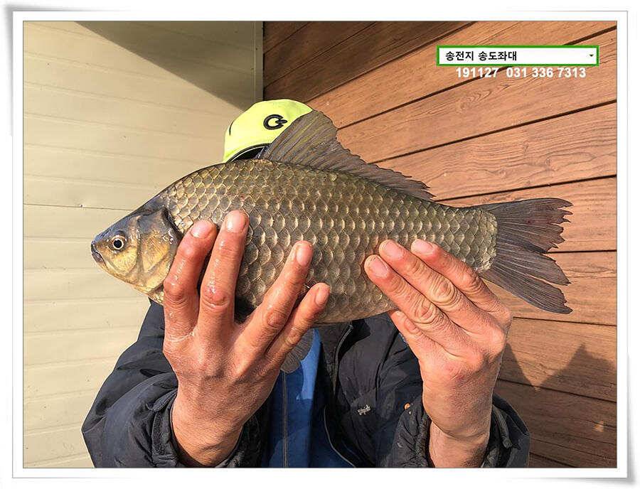 막판 스퍼트 (유료터정보 - 유료터점주조황)