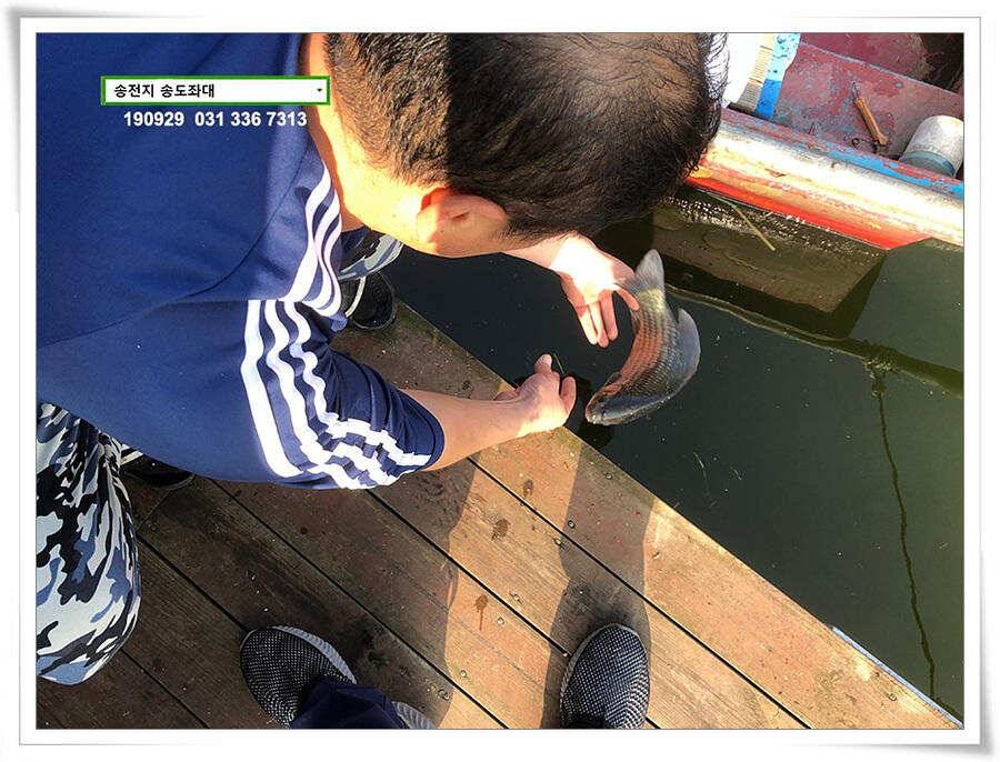 여기 어때 (유료터정보 - 유료터점주조황)