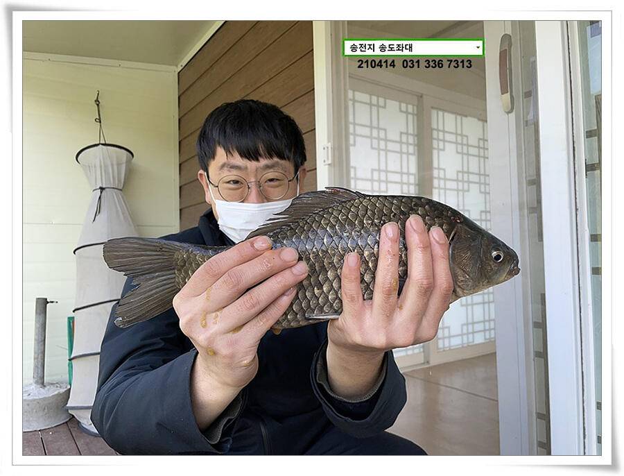 덩어리 놀음송전지 송도집 좌대 조황 (유료터정보 - 유료터점주조황)