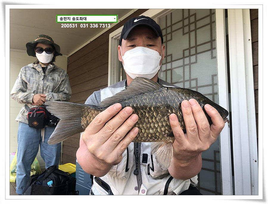 2차 직딩의 난송전지 송도좌대 조황 (유료터정보 - 유료터점주조황)