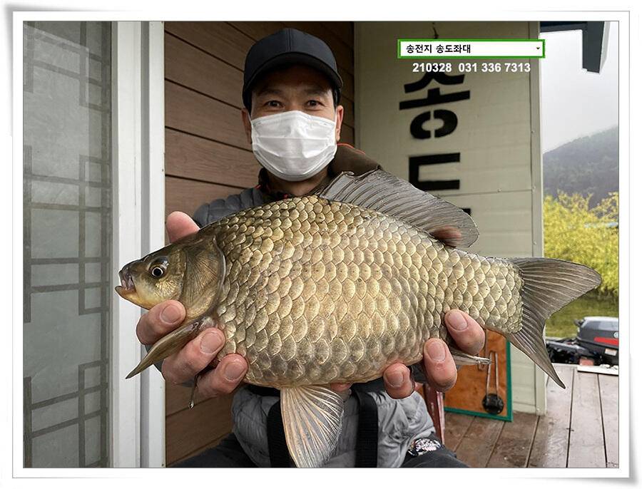 바람과 구름과 4짜 송전지 송도집 좌대 조황 (유료터정보 - 유료터점주조황)