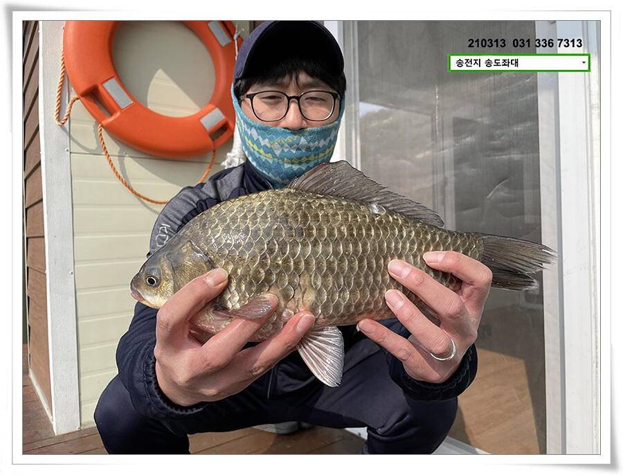 봄 붕어 제오시는 송전지 송도좌대 조황 (유료터정보 - 유료터점주조황)