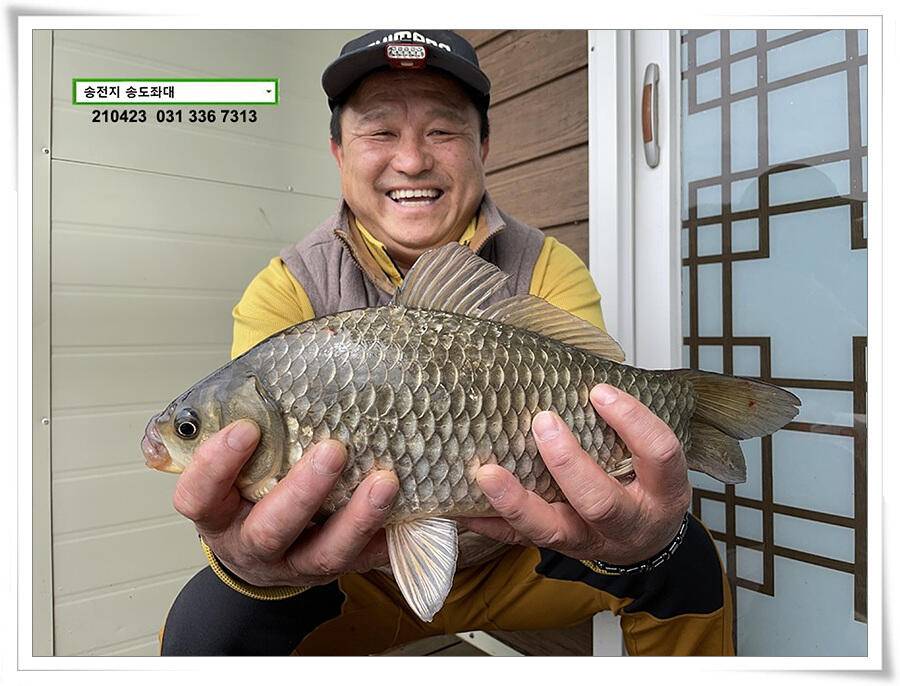 4짜의 산란 ing송전지 송도좌대 조황 (유료터정보 - 유료터점주조황)