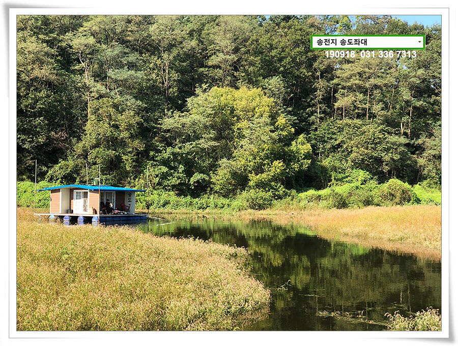 전투배치 (유료터정보 - 유료터점주조황)
