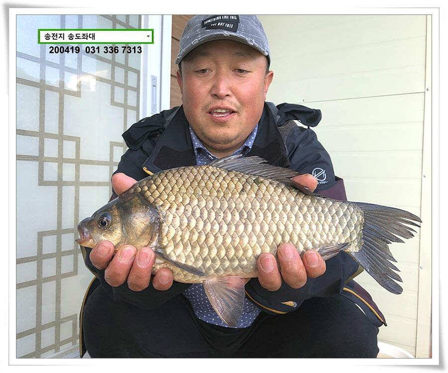송전지 송전낚시터 송도좌대 조황 (유료터정보 - 유료터점주조황)